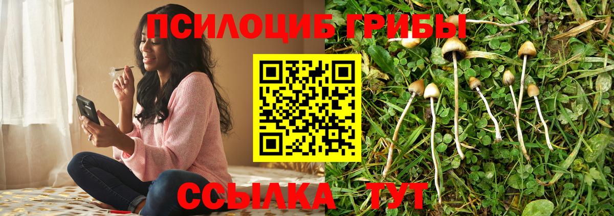 Камышин  Героин  Гашиш  Кетамин  Вход с VPN  Меф кристаллы  Меф  Где продают наркотики?  КОКАИН  Конопля  Alpha PVP СОЛЬ  