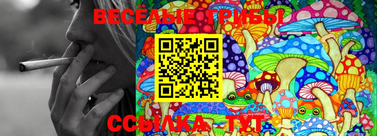 Псилоцибиновые грибы прущие грибы Камышин