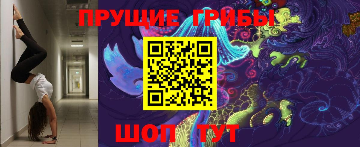 Псилоцибиновые грибы Cubensis  Вход с VPN  Псилоцибиновые грибы ЛСД  Камышин 